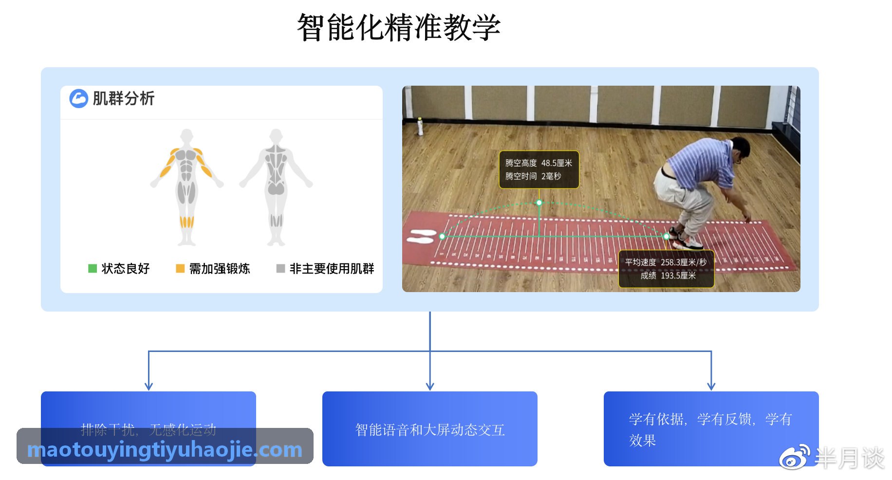猫头鹰体育现代化立体库场景