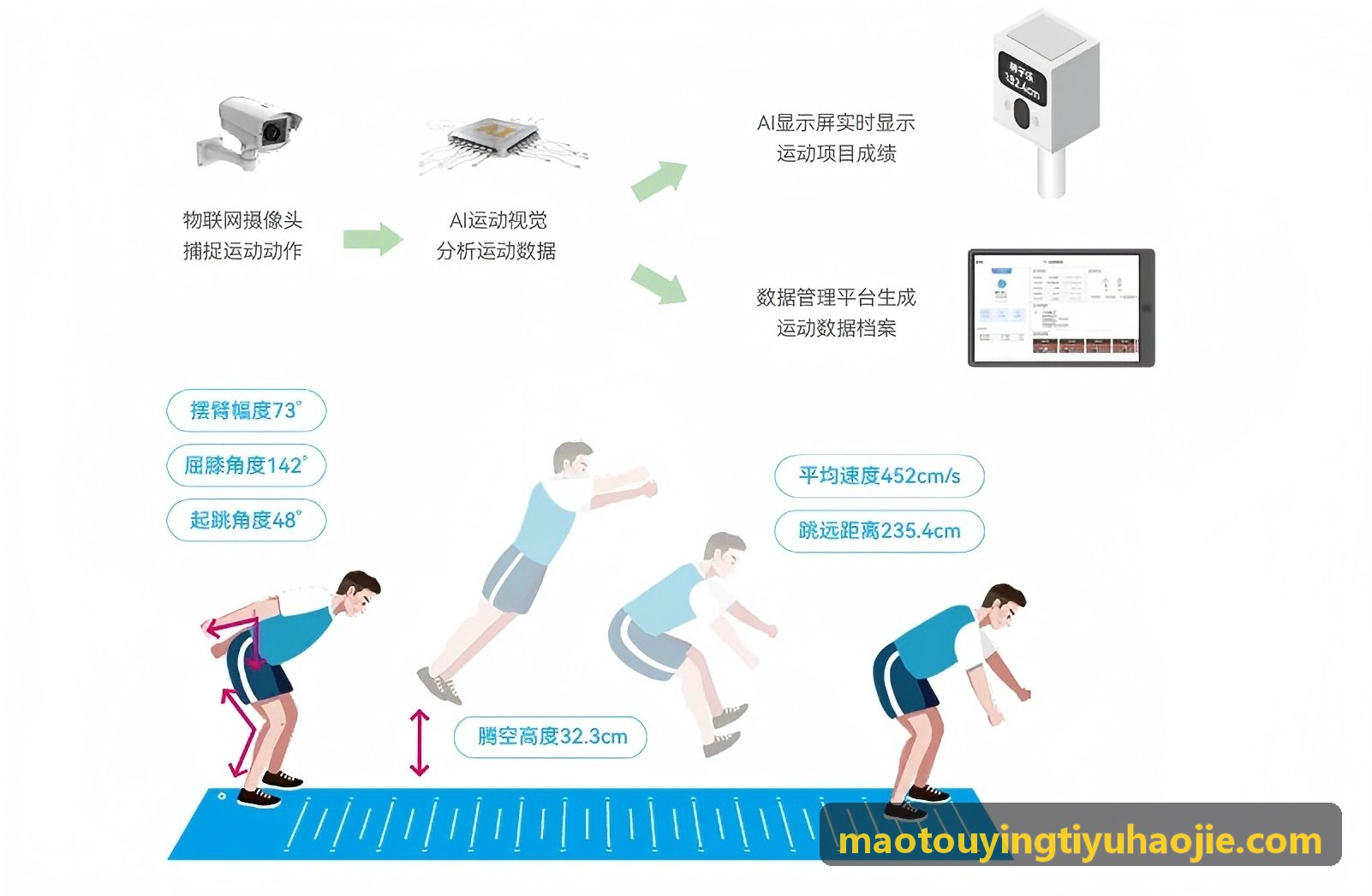 猫头鹰体育大件健身器材案例